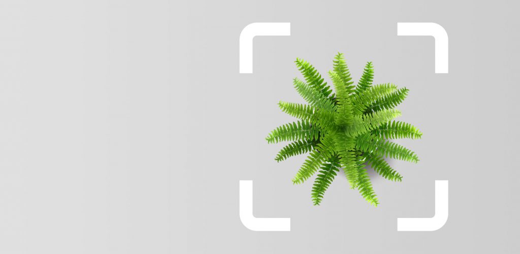 on variable rate savings accounts - Hampshire Trust Bank (HTB)